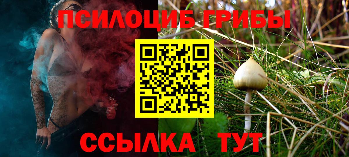 Десногорск  наркошоп  Вход с VPN  Галлюциногенные грибы Psilocybine cubensis 